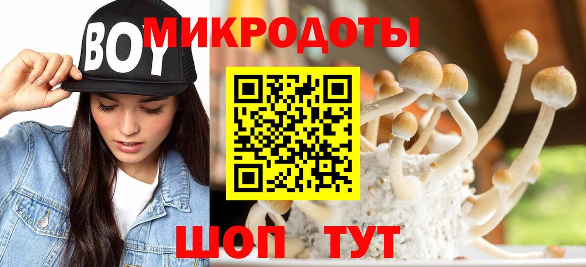 Галлюциногенные грибы Magic Shrooms Павлово