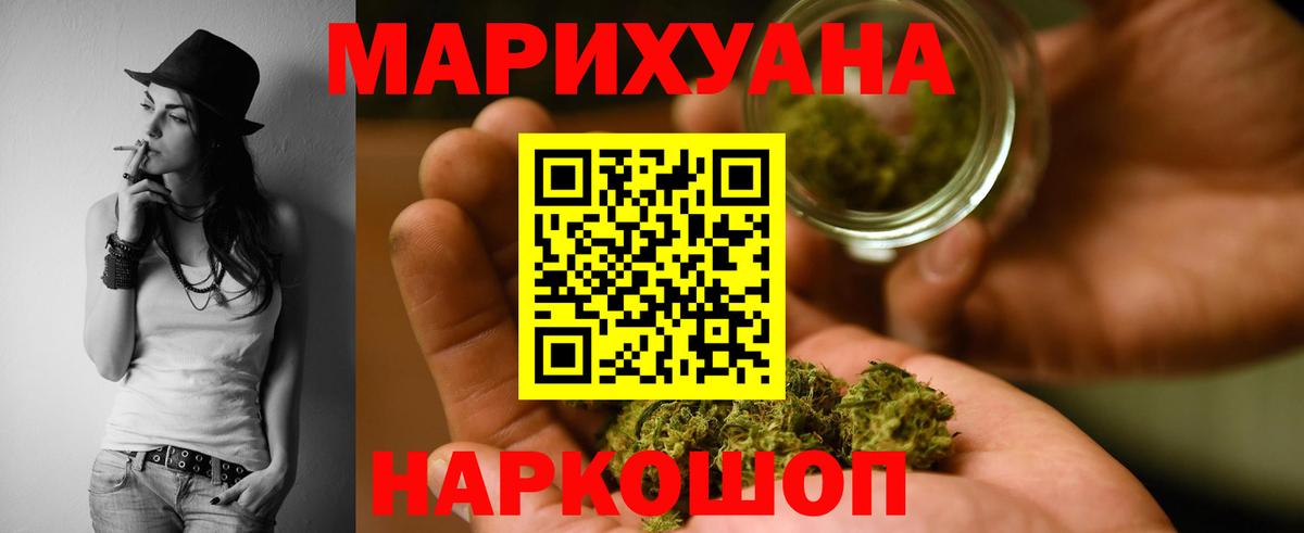 Конопля марихуана Павлово